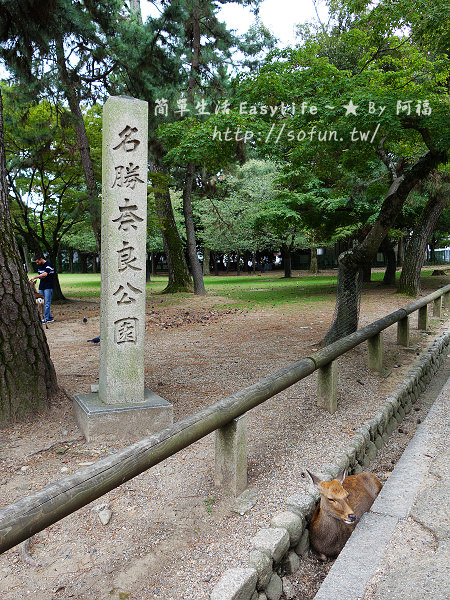 [奈良旅遊] 奈良公園 ~ 與成群小鹿玩樂@附京都到奈良交通方式