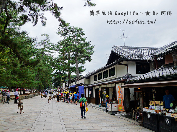 [奈良旅遊必去] 東大寺 ~ 巨大木造寺廟世界遺產@有夠壯觀