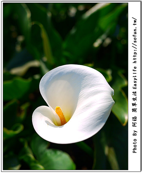 每日小事 – 2012/02/22 ~ 2012/04/12 總整理 每日小事 – 2012/02/22 ~ 2012/04/12 總整理